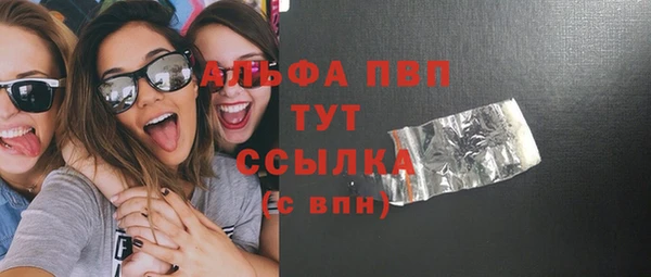 прущие грибы Белокуриха