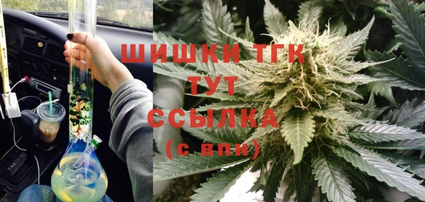 прущие грибы Белокуриха