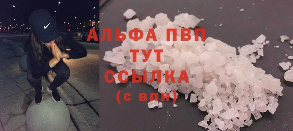 прущие грибы Белокуриха