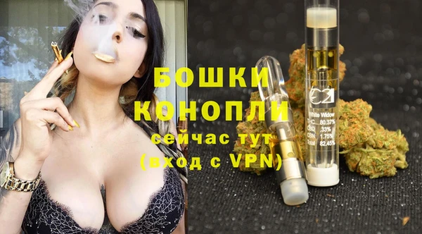 прущие грибы Белокуриха