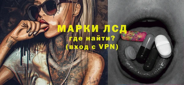 прущие грибы Белокуриха