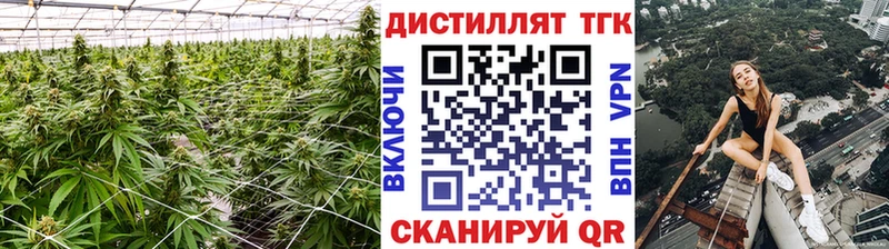 даркнет сайт  гидра как войти  ТГК концентрат  Невельск 