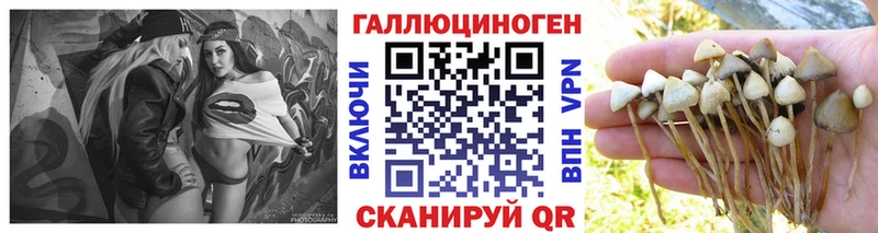 Псилоцибиновые грибы MAGIC MUSHROOMS  купить   Невельск 