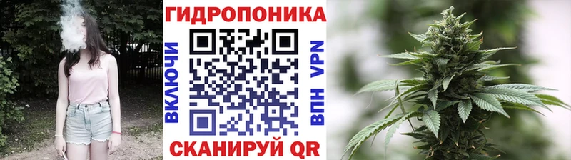 Конопля MAZAR  omg маркетплейс  Невельск 